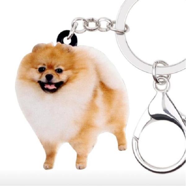 |jA L[z_[ |ObY AN   Ck dog  G I[i[ObY 킢 A L[`F[ vg