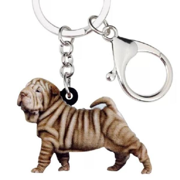 V[yC L[z_[ V[yCObY AN   Ck dog  G I[i[ObY 킢 A L[`F[ vg