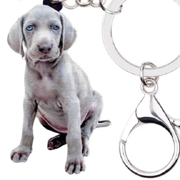 C}i[ L[z_[ C}ObY AN   Ck dog  G ps[ I[i[ObY 킢 A L[`F[ vg