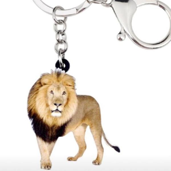 CI L[z_[ CIObY Lion AN 쐶  Aj}G I[i[ObY 킢 A L[`F[ vg