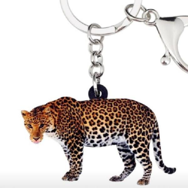 pT[ qE L[z_[ Aj}ObY AN 쐶  Aj}G I[i[ObY 킢 A L[`F[ vg