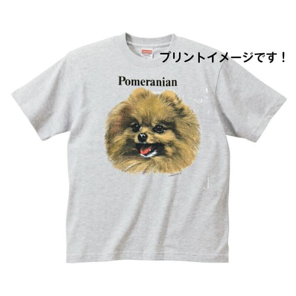 |jA (R) tVc  Jbg\[ ێ^ N[lbN 100% Rbg gbvX  fB[X Y Vv 킢  Cxg 