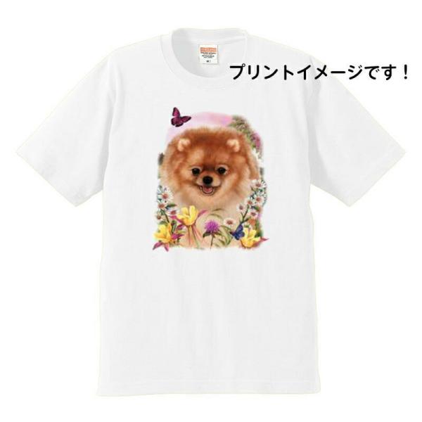 |jA  tVc  Jbg\[ ێ^ N[lbN 100% Rbg gbvX  fB[X Y Vv 킢  Cxg 