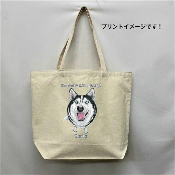 VxAnXL[ (tFCX) g[gobO GRobO }CobO킢  fB[X Y jp a4 傫 LoX hbO   