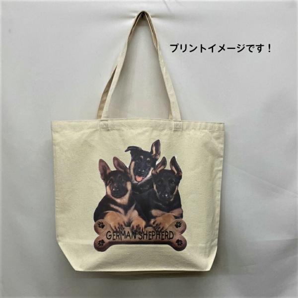 W[}VFp[h (BONE) g[gobO GRobO }CobO킢  fB[X Y jp a4 傫 LoX hbO   