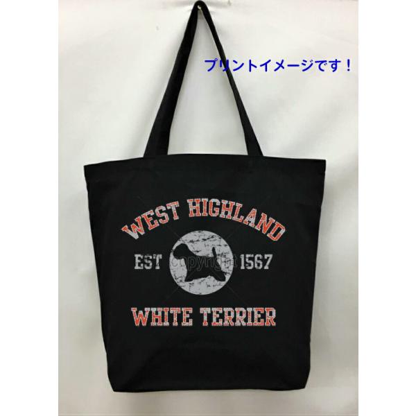 EGXgnChzCgeA EGXeB[ (VGbg) g[gobO GRobO }CobO킢  fB[X Y jp a4 傫 