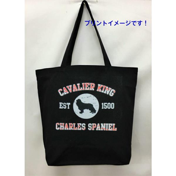 LoA (VGbg) g[gobO GRobO }CobO킢  fB[X Y jp a4 傫 LoX hbO   