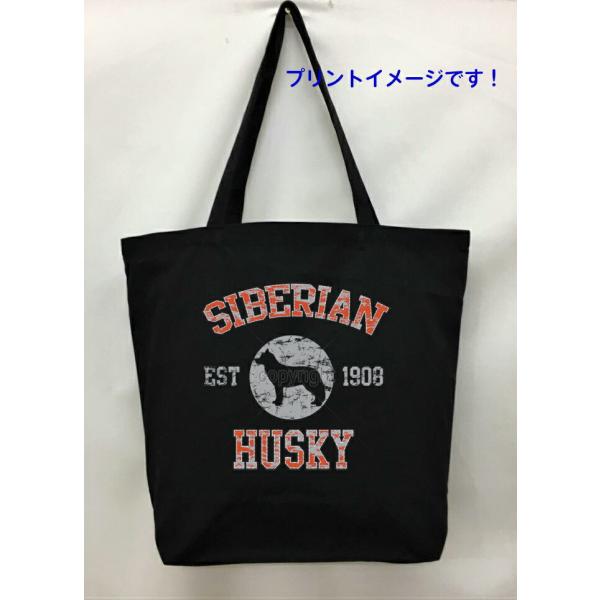 VxAnXL[ (VGbg) g[gobO GRobO }CobO킢  fB[X Y jp a4 傫 LoX hbO  