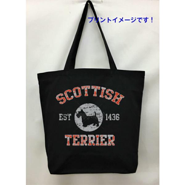 XReBbVeA (VGbg) g[gobO GRobO }CobO킢  fB[X Y jp a4 傫 LoX hbO  