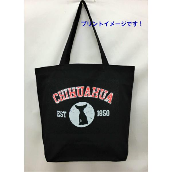 ` (VGbg) g[gobO GRobO }CobO킢  fB[X Y jp a4 傫 LoX hbO    vg