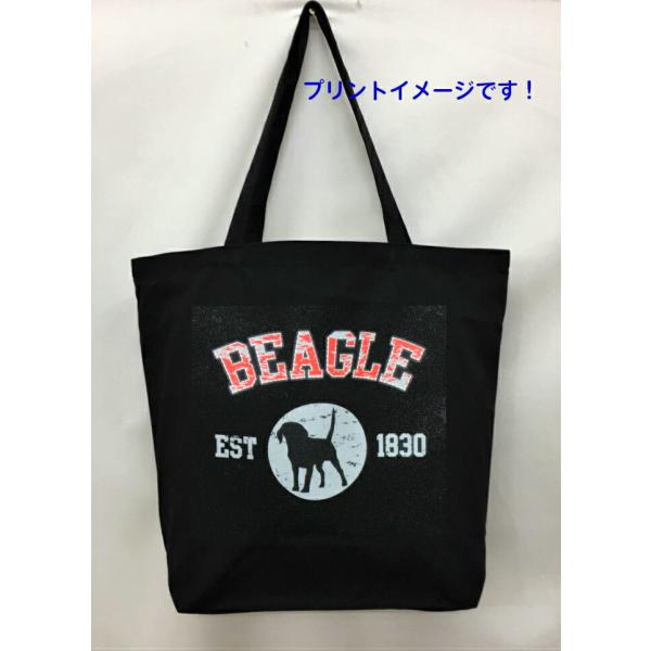 r[O (VGbg) g[gobO GRobO }CobO킢  fB[X Y jp a4 傫 LoX hbO    ObY