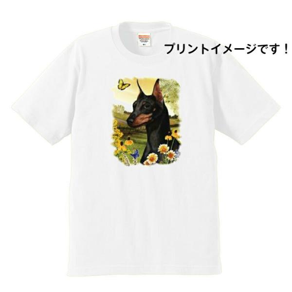 ~j`AsV[ () tVc  Jbg\[ ێ^ N[lbN 100% Rbg gbvX  fB[X Y Vv 킢  