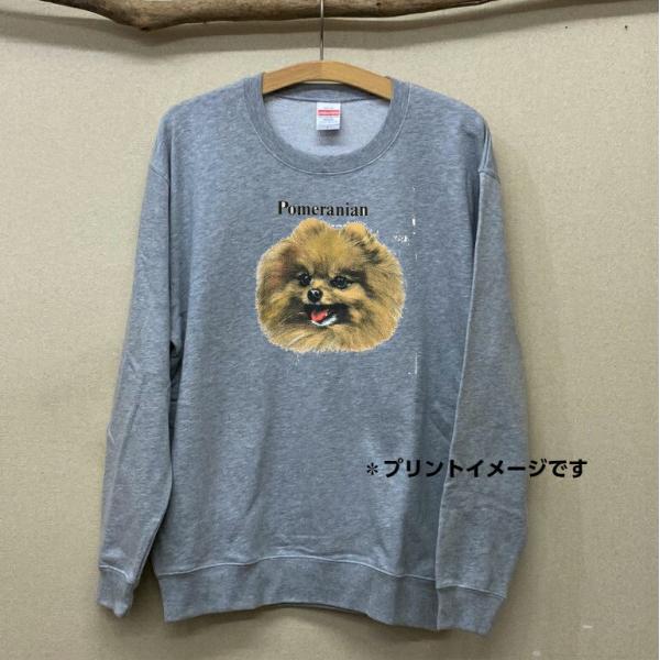 |jA ir-40jVFeB[XEFbg g[i[ EhlbN  fB[X Y jZbNX 100% vI[o[ Vv 킢 