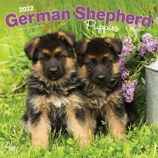犬 カレンダーの人気商品 通販 価格比較 価格 Com