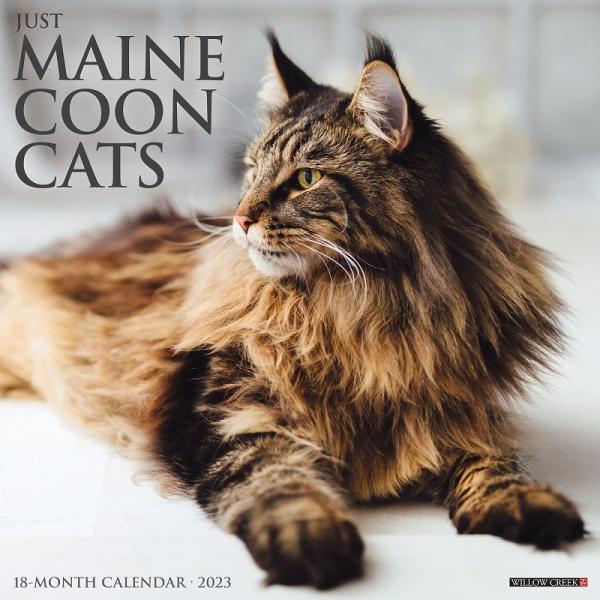 猫 カレンダー 壁掛けの人気商品・通販・価格比較 - 価格.com 猫 カレンダー 壁掛けの人気商品・通販・価格比較 - 価格.com