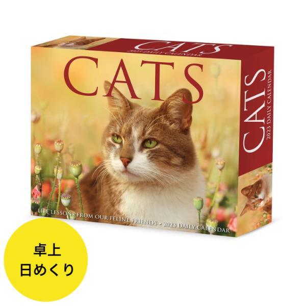 ねこ カレンダー 卓上 生活雑貨の人気商品 通販 価格比較 価格 Com