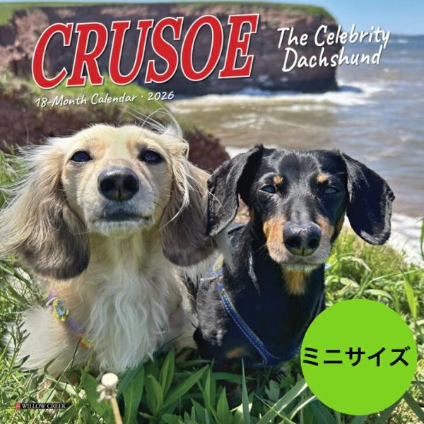 サイズ:7インチ×7インチ約17.8cm×17.8cm使用時：約17.8cm×35.6cm種類:    アメリカWILLW CREEK PRESSカレンダー/ミニタイプ配送:追跡可能メール便・ネコポス便でのお届けになります。商品のお届けは、...