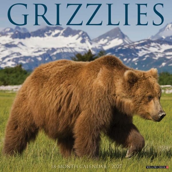 グリズリー ハイイログマ ヒグマ カレンダー 2027年 月めくり 壁掛け 令和9年 暦 野生動物 輸入 WILLOW CREEK プレゼント クリスマス トラストワンポイント