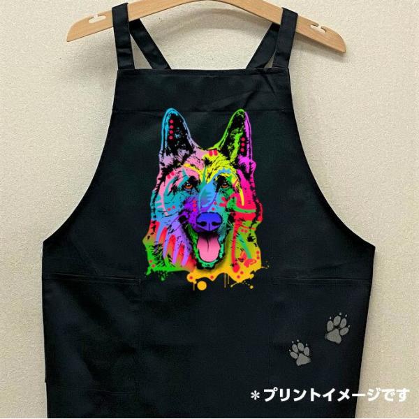 W[}VFp[h J[ Gv obNNX X^ |  킢 ۈm [NGv   hbO  Ck  vg