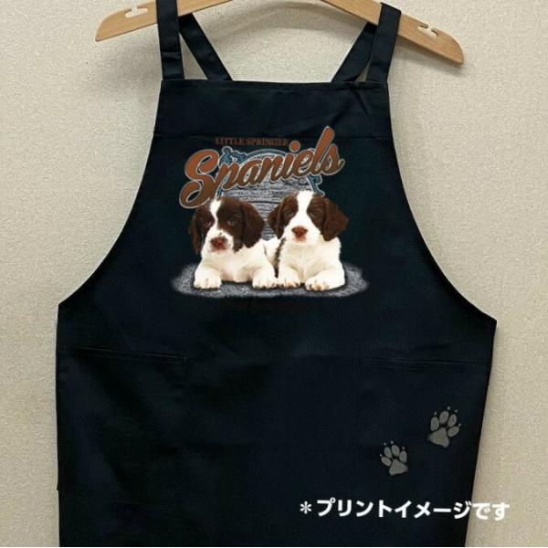 CObVXvK[XpjG ps[ J[ Gv obNNX X^ |  킢 ۈm [NGv   hbO