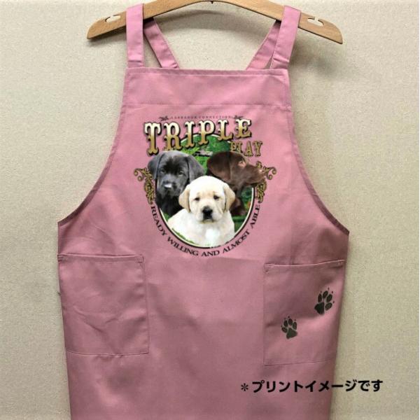 uh[go[ g[o[ ps[ J[ Gv obNNX X^ |  킢 ۈm [NGv   hbO 