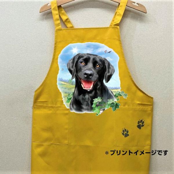 uh[go[ g[o[ ubNu J[ Gv obNNX X^ |  킢 ۈm [NGv   