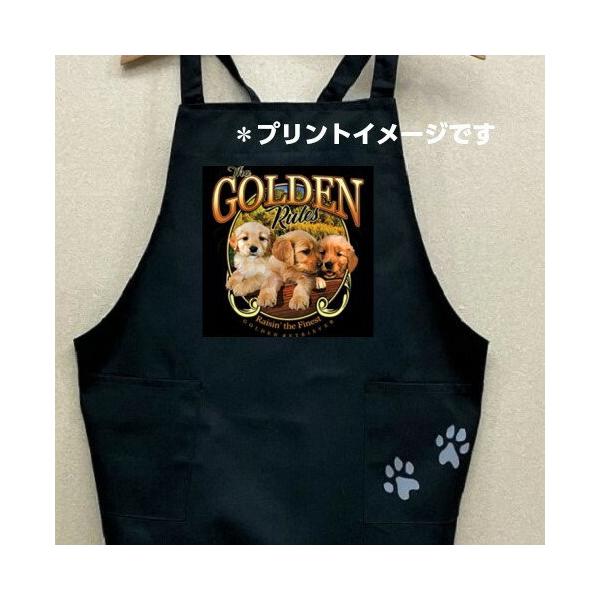 S[fgo[ g[o[ ps[ J[ Gv obNNX X^ |  킢 ۈm [NGv   hbO 