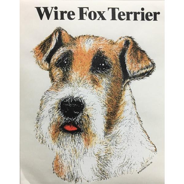 C[tHbNXeA J[ Gvin[gj obNNX X^ |  킢 ۈm [NGv   hbO  Ck