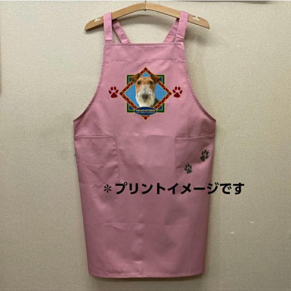 C[tHbNXeA J[ Gvin[gj obNNX X^ |  킢 ۈm [NGv   hbO  Ck