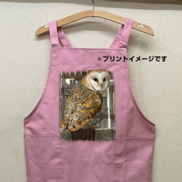 tNE ӂ낤  tNE ҋח  J[ Gv obNNX X^ |  킢 ۈm [NGv   Mtg