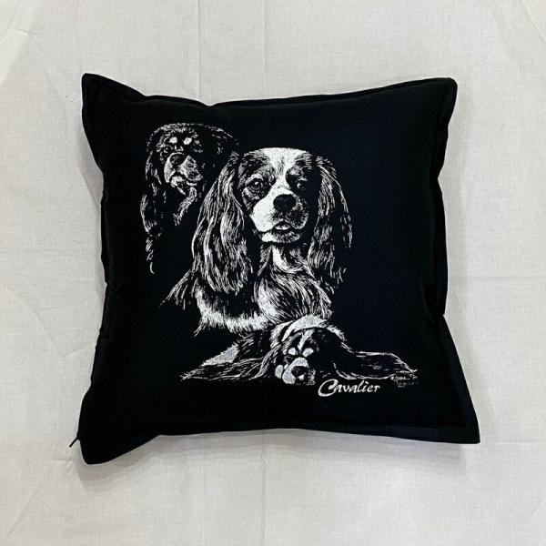 LoA NbV NEW 5050cm 傫 rbOTCY 􂦂 킢    vg G ObY vg  I[i[ObY