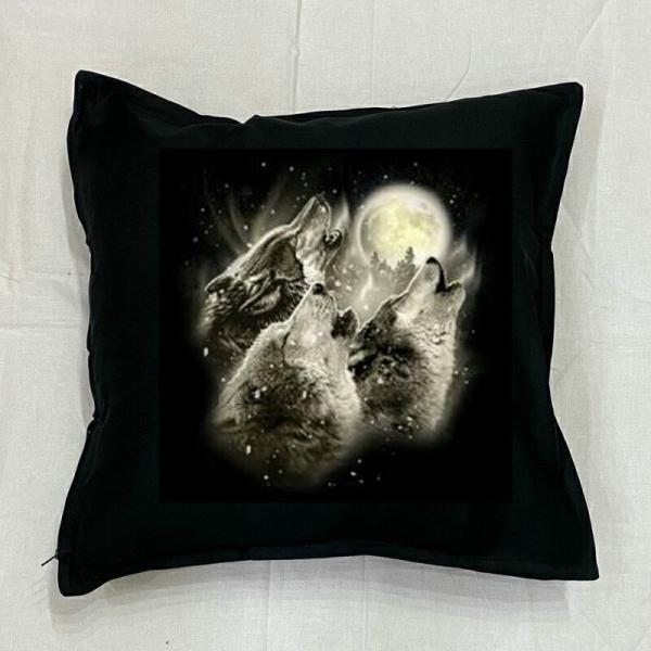 Et T 쐶 23-d NbV NEW 5050cm 傫 rbOTCY 􂦂 킢    vg G ObY vg  oCN