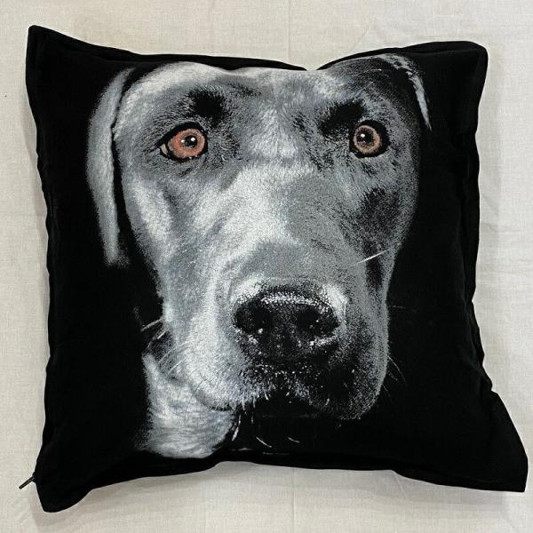 uh[go[ ubNu NbV NEW 5050cm 傫 rbOTCY 􂦂 킢    vg G ObY vg