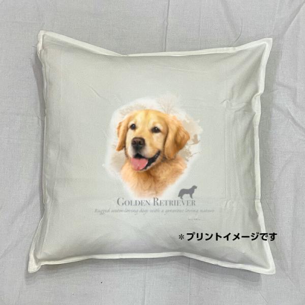 ゴールデンレトリバー レトリーバー クッション NEW 50x50cm