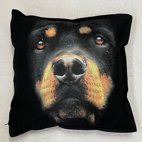 bgC[ NbV NEW 5050cm 傫 rbOTCY rbOtFCX 􂦂 킢    vg G ObY vg 