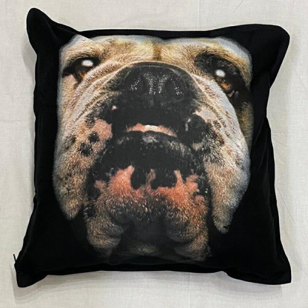 uhbO NbV NEW 5050cm 傫 rbOTCY rbOtFCX 􂦂 킢    vg G ObY vg 