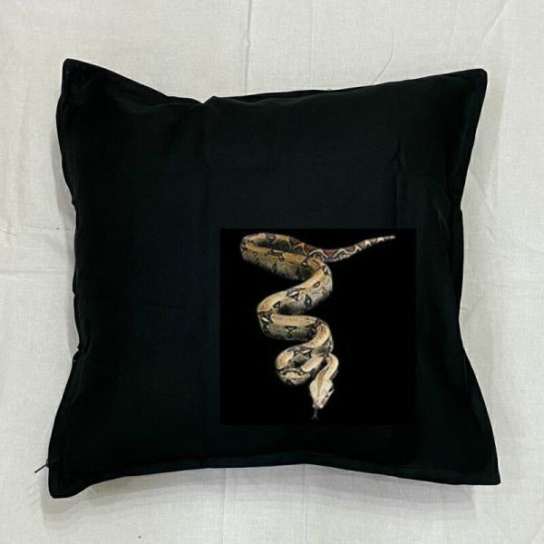 wr  Xl[N NbV NEW 5050cm 傫 rbOTCY rbOtFCX 􂦂 킢  ঒ vg G ঒ރObY 쐶  3d