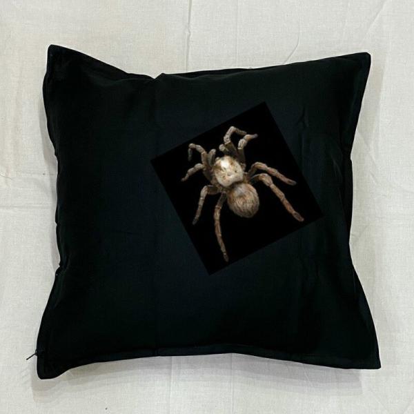 ^` NbV NEW 5050cm 傫 rbOTCY rbOtFCX 􂦂 킢   vg G ঒ރObY 쐶 