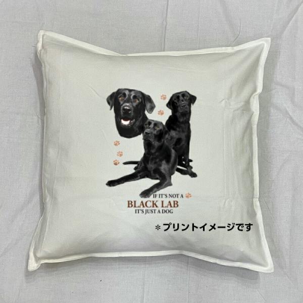 uhgo[ ubNu g[o[ NbV NEW 5050cm 傫 rbOTCY 􂦂 킢    dog hbO vg