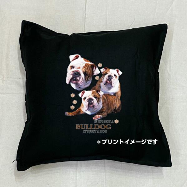 uhbO NbV NEW 5050cm 傫 rbOTCY 􂦂 킢    dog hbO vg G ObY vg 