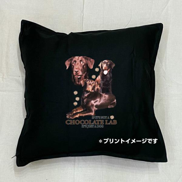 uh[go[ NbV NEW 5050cm 傫 rbOTCY 􂦂 킢    dog hbO vg G ObY vg