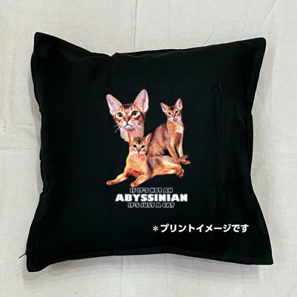 Lbg cat ArVjA NbV NEW 5050cm 傫 rbOTCY 􂦂 킢  yV L lR ˂ Lvg G LObY 