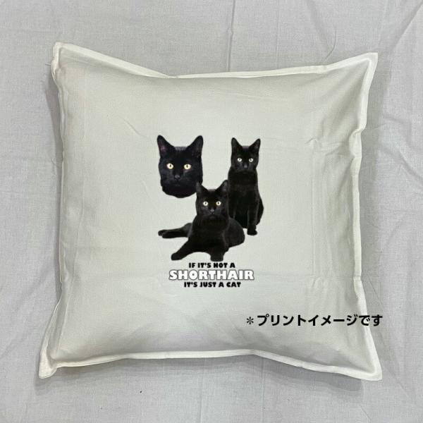 �L���b�g cat �u���b�N�L���b�g �N�b�V���� NEW 50��50cm �傫�� �r�b�O�T�C�Y �􂦂� ���킢�� ������� �y���V�� �L�� �l�R �˂� �L�v�����g �G�� �L�O�b�Y