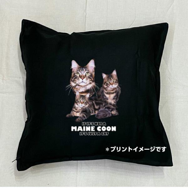 Lbg cat CN[ NbV NEW 5050cm 傫 rbOTCY 􂦂 킢  yV L lR ˂ Lvg G LObY 