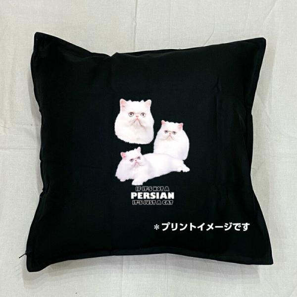 Lbg cat yV NbV NEW 5050cm 傫 rbOTCY 􂦂 킢  yV L lR ˂ Lvg G LObY 