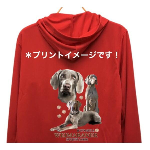 C}i[ iWQj hCWbv p[J[   U X|[c C }EGA WbvAbv O UVJbg fB[X Y jZbNX 