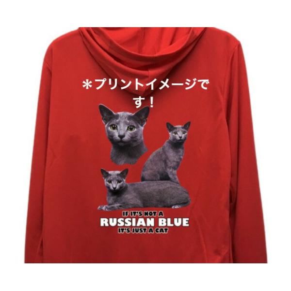 VAu[ Lbg cat lR L ˂ hCWbv p[J[   U X|[c C }EGA WbvAbv O UVJbg fB[X Y