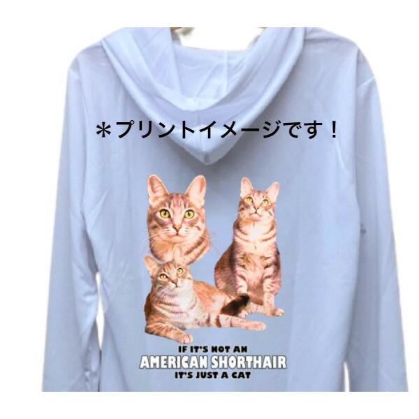 AJV[gwA[ AV[ Lbg cat lR L ˂ hCWbv p[J[   U X|[c C }EGA WbvAbv O Y