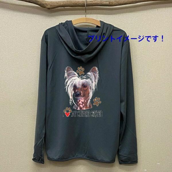 `Cj[YNbZbh `CN iWQj  hCWbv p[J[   U X|[c WbvAbv O UVJbg fB[X Y 