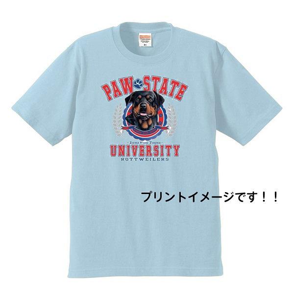 bgC[(jo[T) tVc  Jbg\[ ێ^ N[lbN 100% Rbg gbvX  fB[X Y Vv 킢  